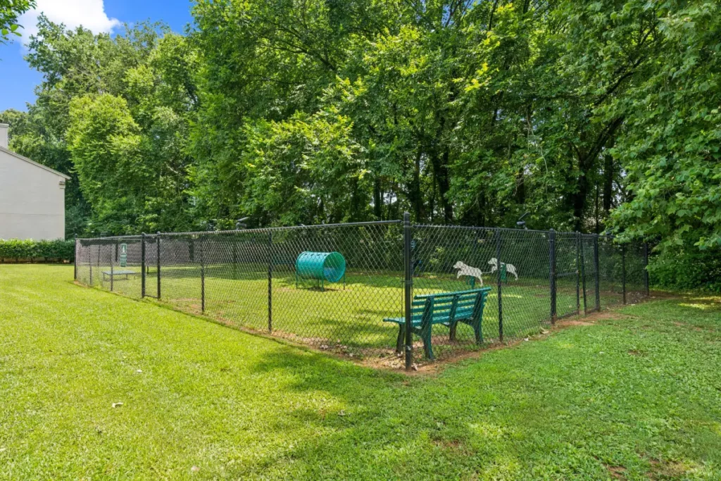 A dog park surrounded by a fence